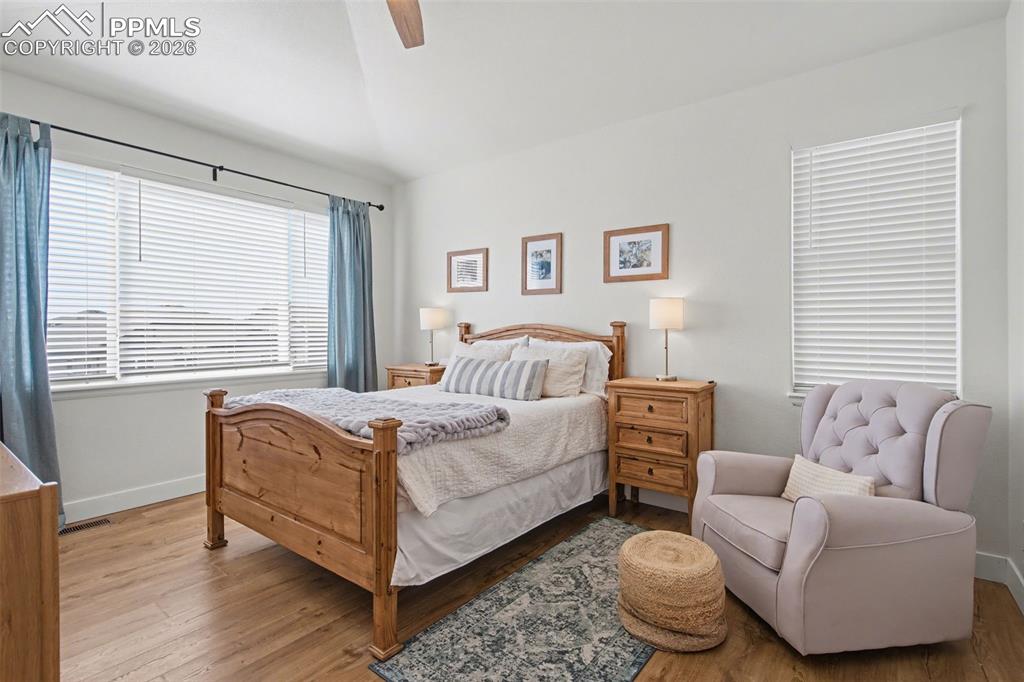 6577 Andretti Court Colorado Springs CO 80922