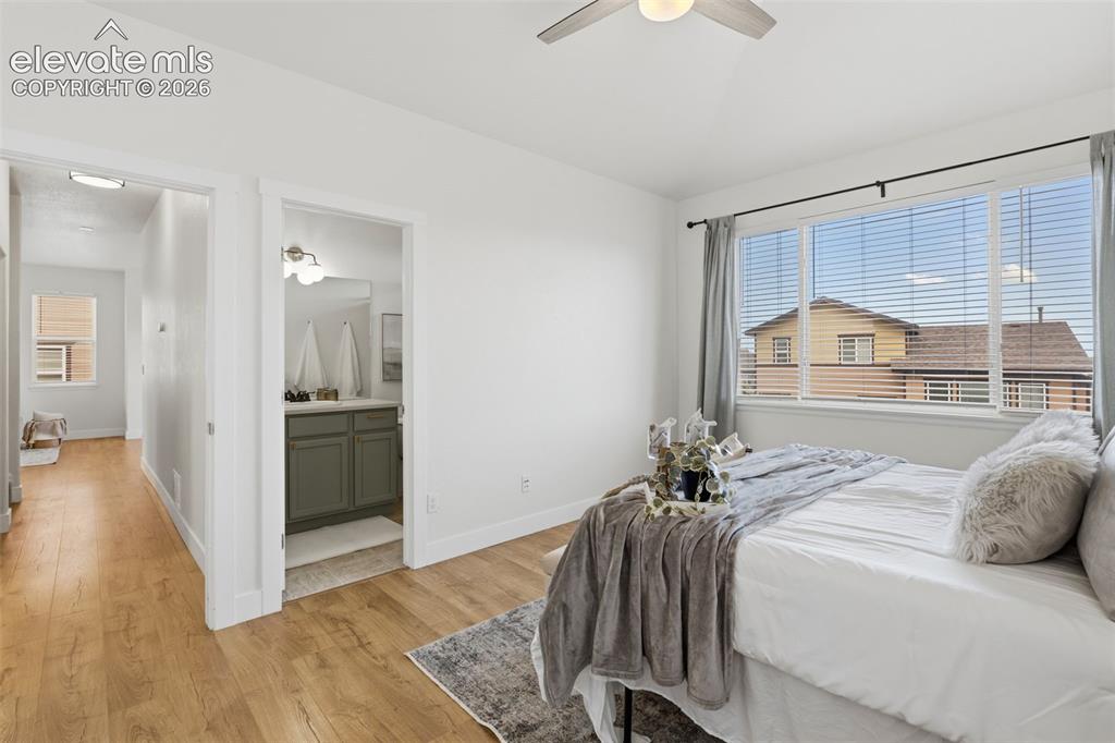 6577 Andretti Court Colorado Springs CO 80922
