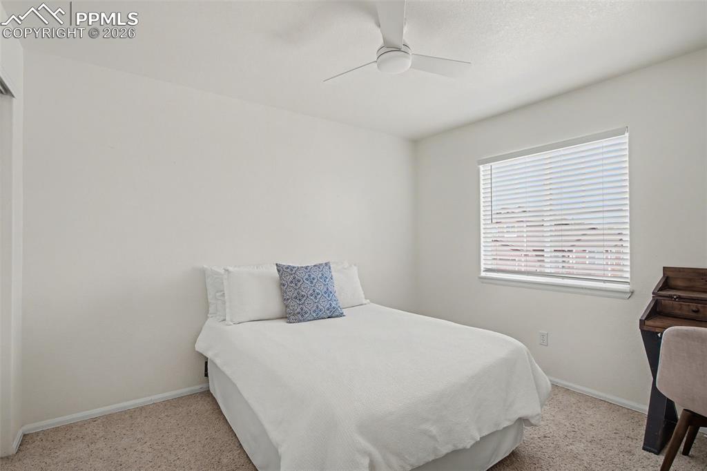6577 Andretti Court Colorado Springs CO 80922
