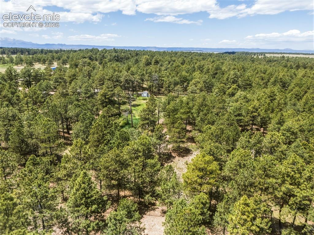 18440 Black Squirrel Road Colorado Springs CO 80908