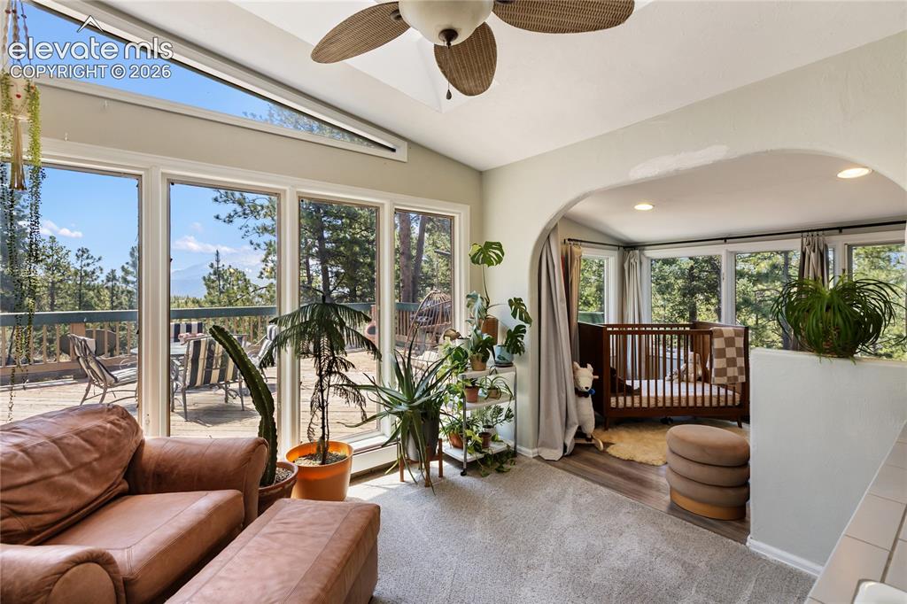 1150 Forest Hill Place Woodland Park CO 80863