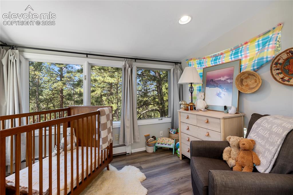 1150 Forest Hill Place Woodland Park CO 80863