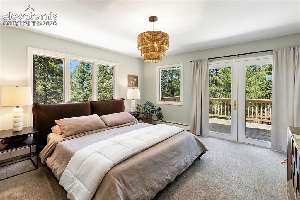 1150 Forest Hill Place Woodland Park CO 80863