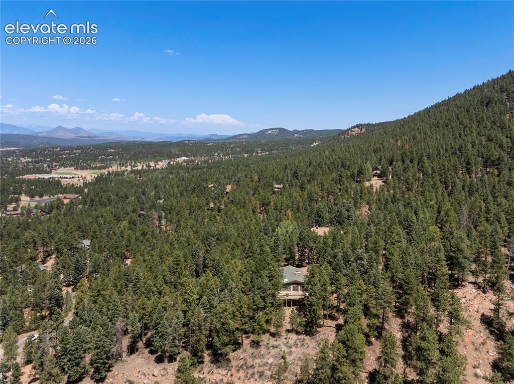 1150 Forest Hill Place Woodland Park CO 80863