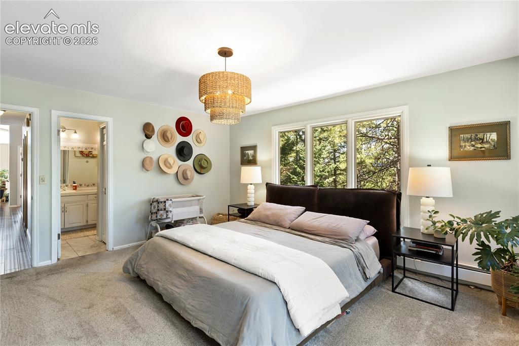 1150 Forest Hill Place Woodland Park CO 80863