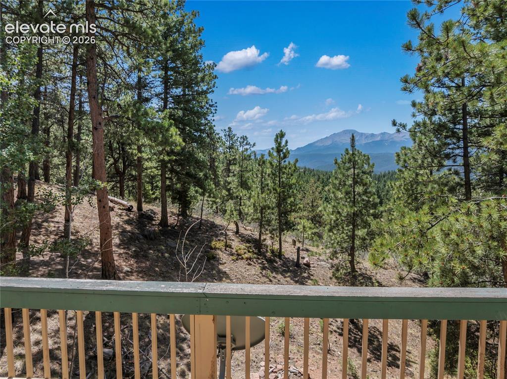 1150 Forest Hill Place Woodland Park CO 80863