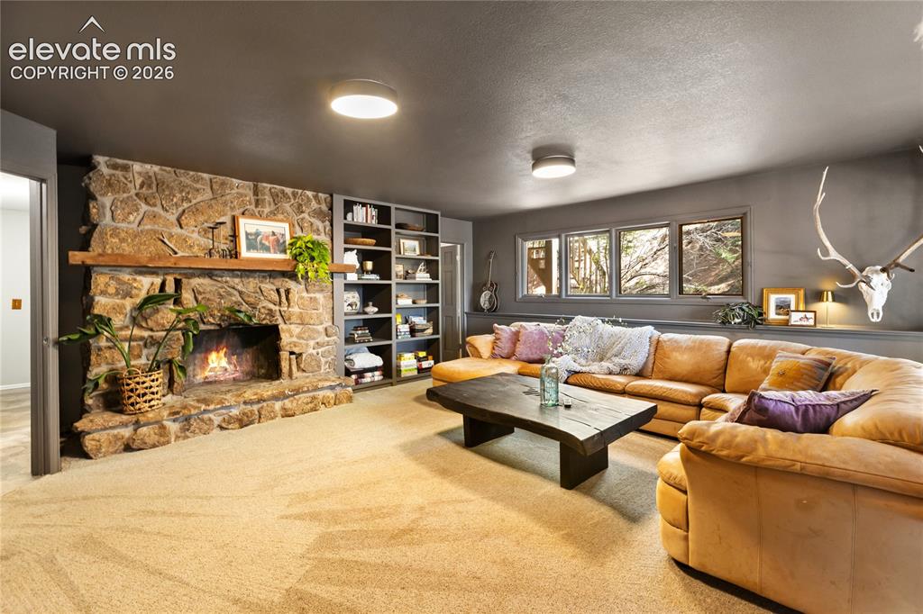 1150 Forest Hill Place Woodland Park CO 80863
