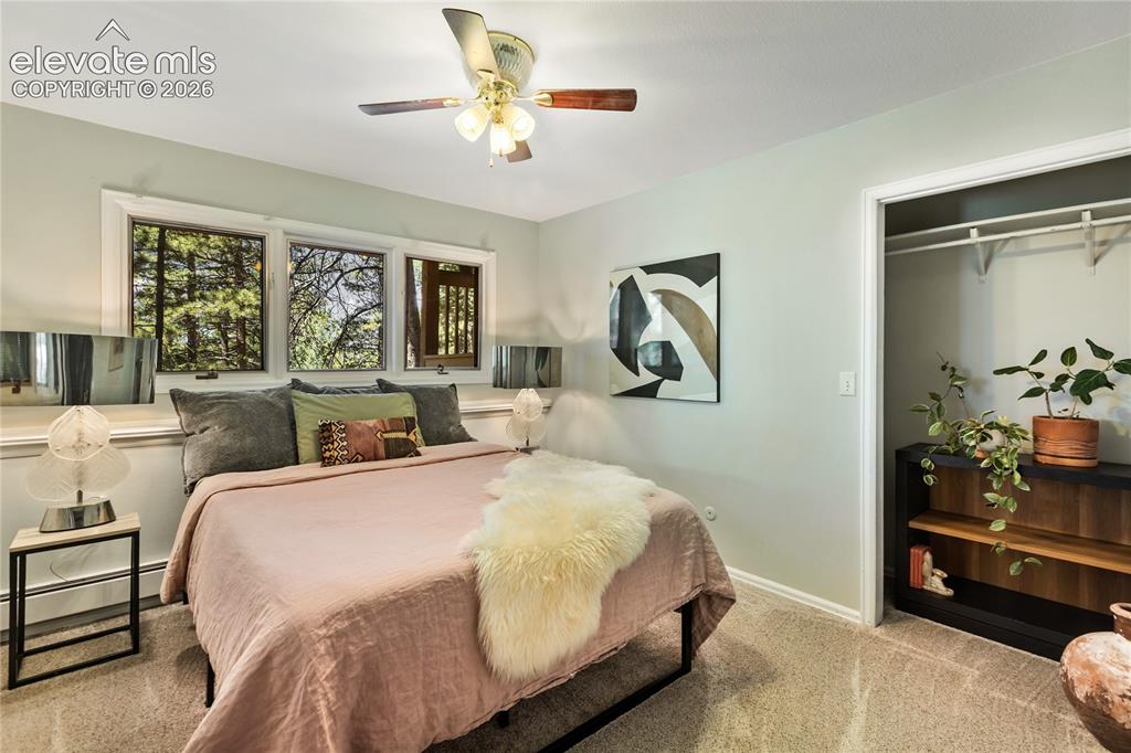 1150 Forest Hill Place Woodland Park CO 80863
