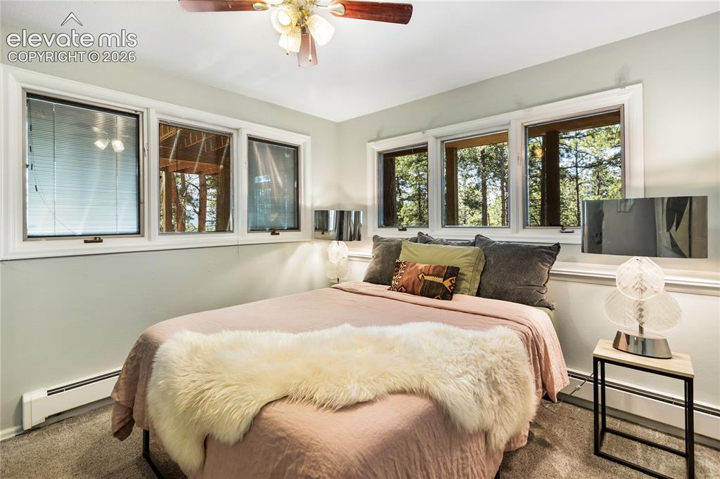 1150 Forest Hill Place Woodland Park CO 80863