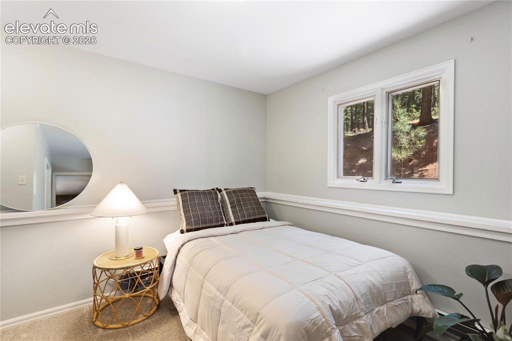1150 Forest Hill Place Woodland Park CO 80863