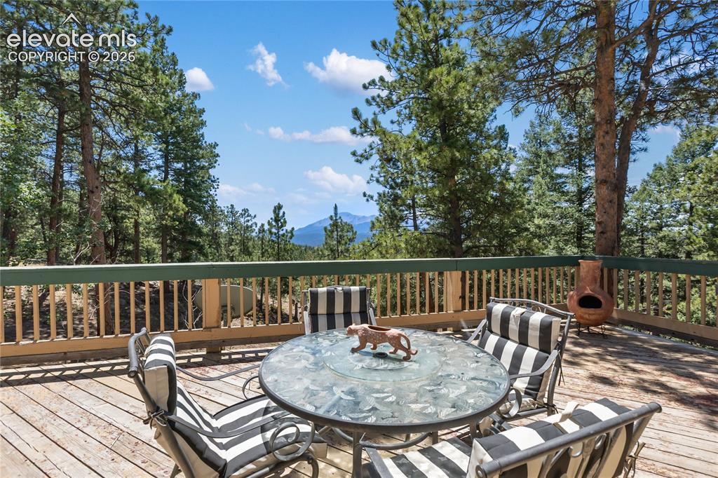 1150 Forest Hill Place Woodland Park CO 80863