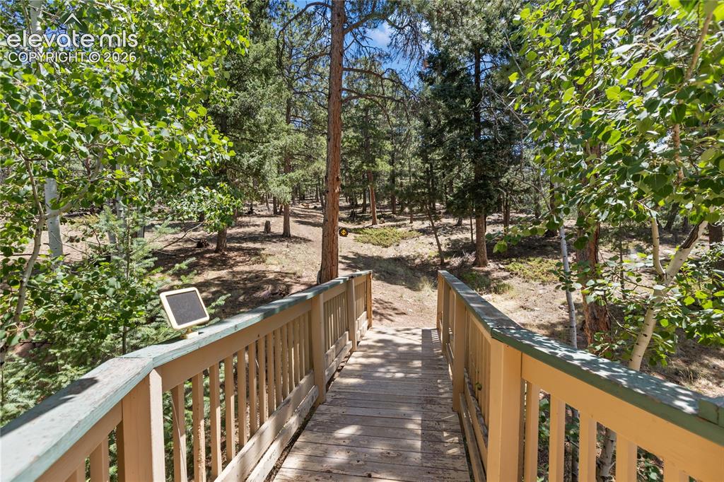 1150 Forest Hill Place Woodland Park CO 80863