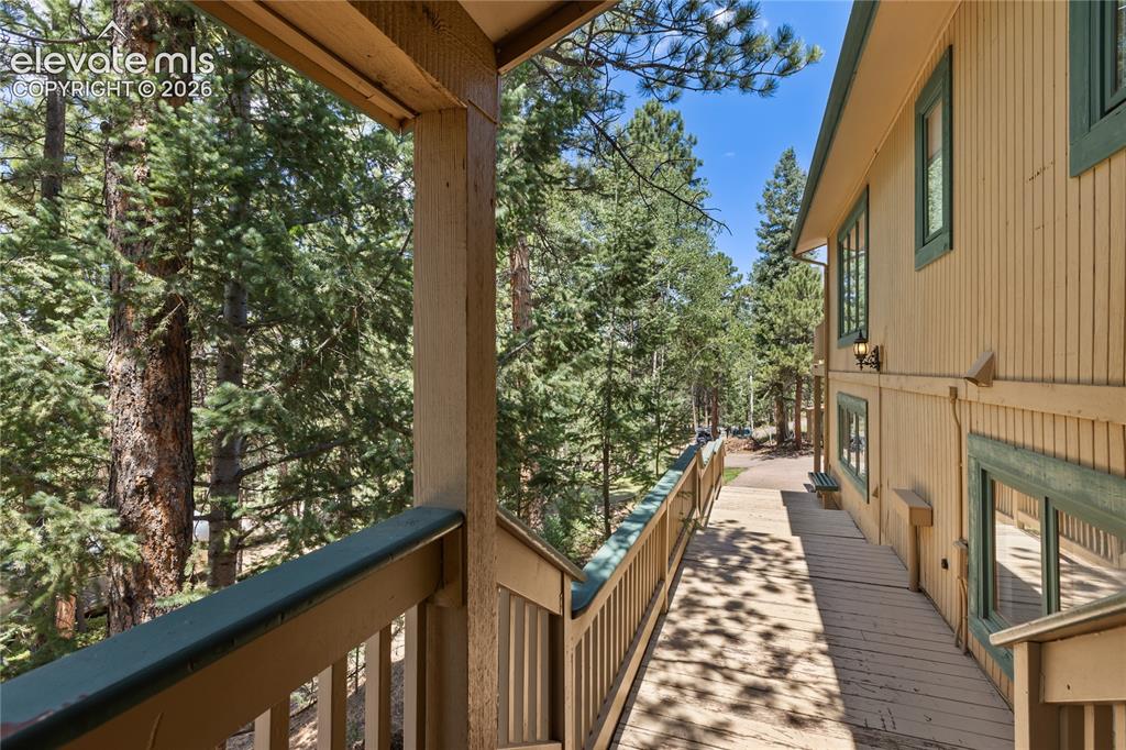 1150 Forest Hill Place Woodland Park CO 80863