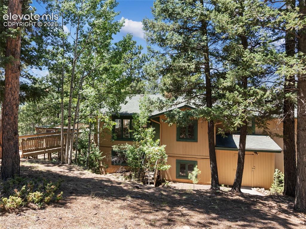 1150 Forest Hill Place Woodland Park CO 80863