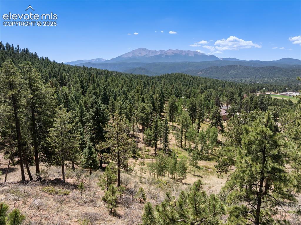 1150 Forest Hill Place Woodland Park CO 80863