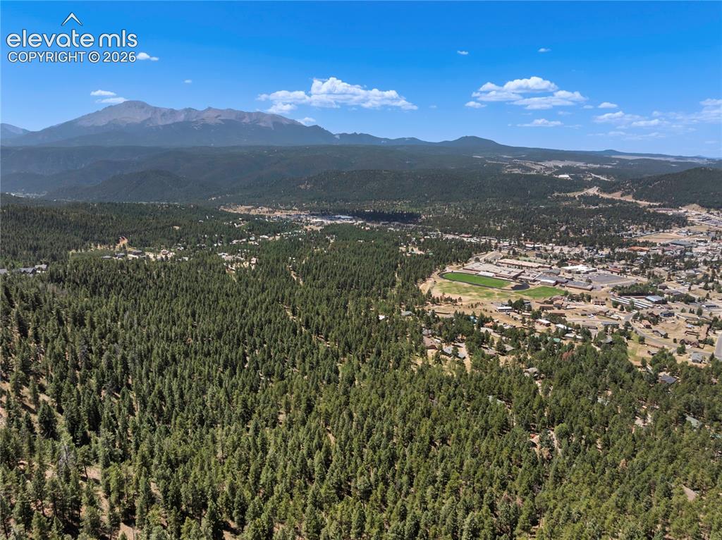1150 Forest Hill Place Woodland Park CO 80863