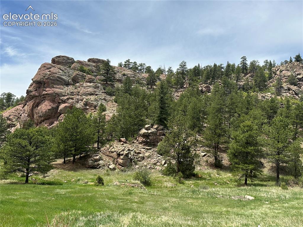 253 Bernard Creek Drive Florissant CO 80816