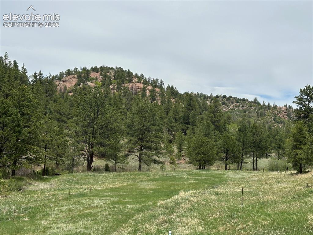 253 Bernard Creek Drive Florissant CO 80816