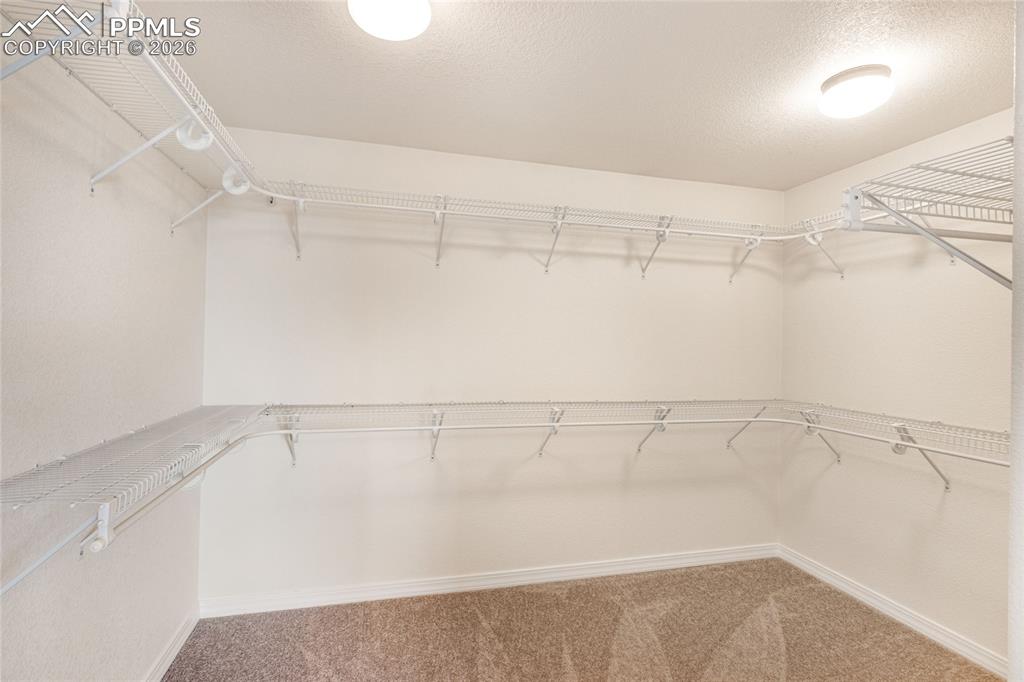 363 Gold Claim Terrace Colorado Springs CO 80905