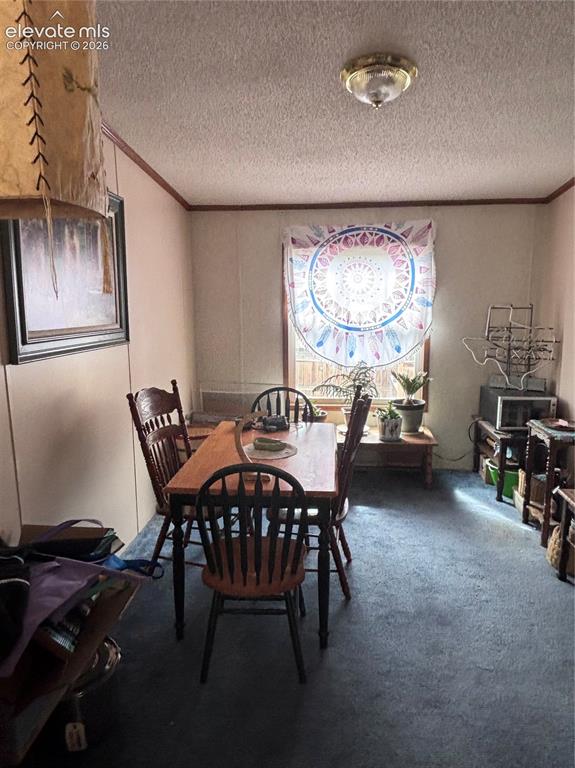 4758 Copper Gulch Road Cotopaxi CO 81223