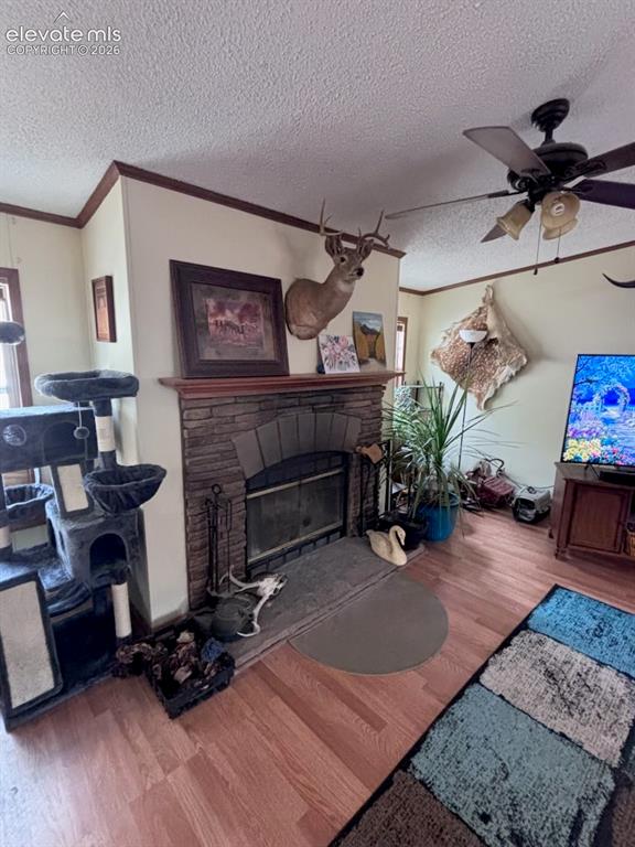 4758 Copper Gulch Road Cotopaxi CO 81223