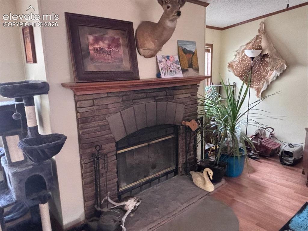 4758 Copper Gulch Road Cotopaxi CO 81223