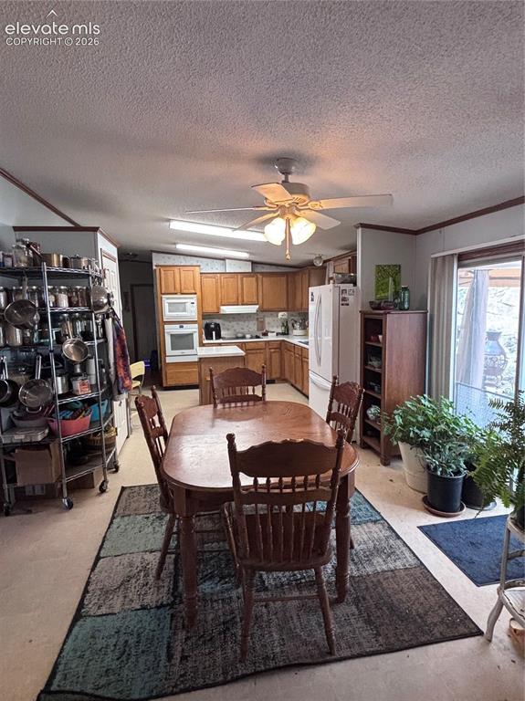 4758 Copper Gulch Road Cotopaxi CO 81223
