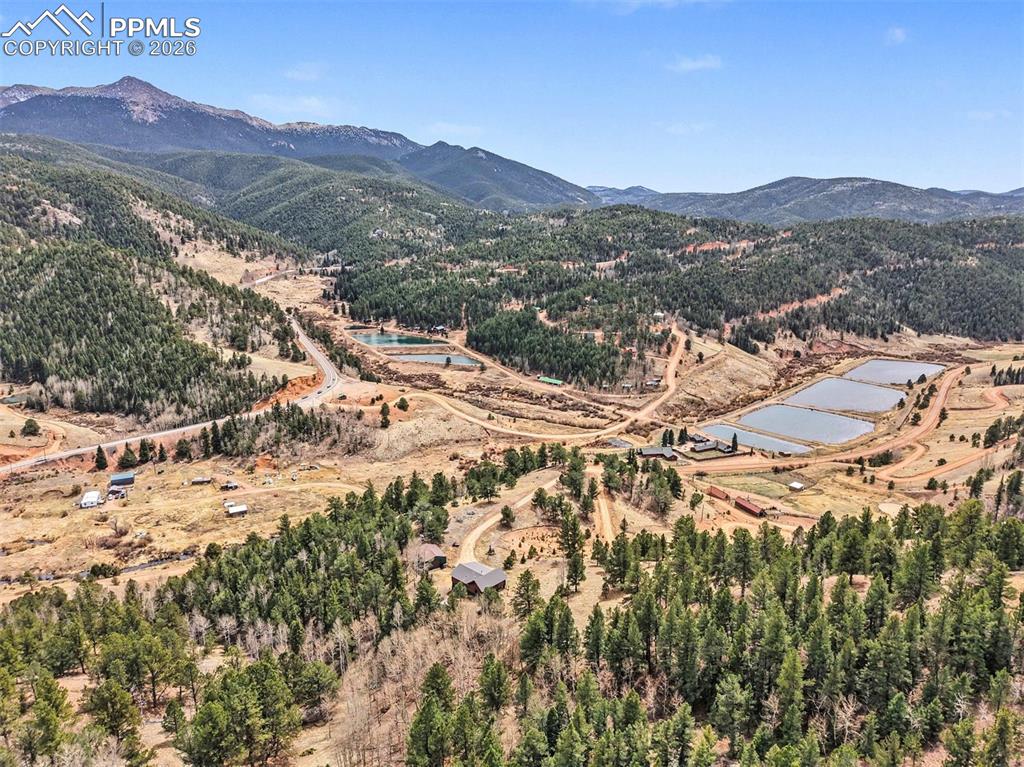 220 Rocky Mountain View Divide CO 80814