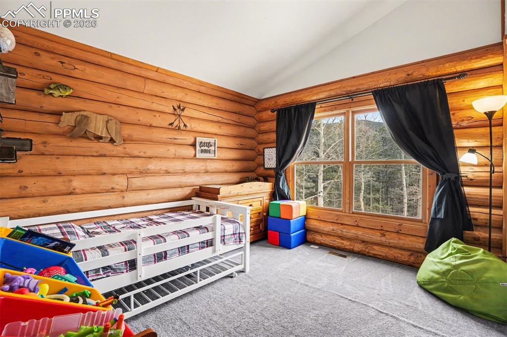 220 Rocky Mountain View Divide CO 80814
