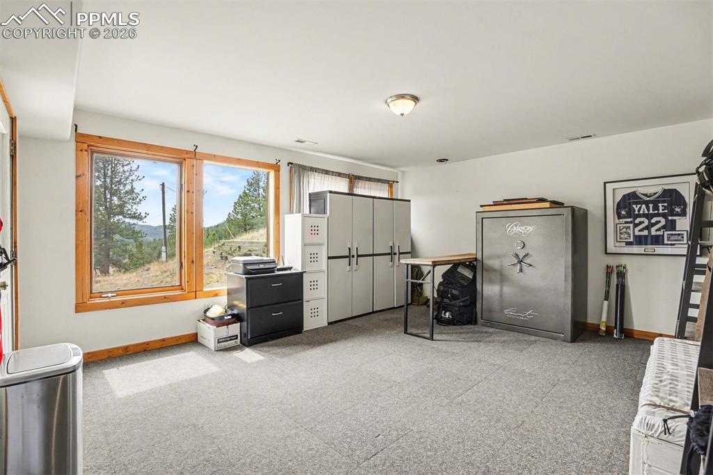220 Rocky Mountain View Divide CO 80814