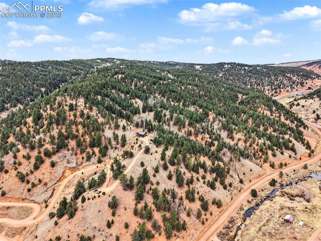 220 Rocky Mountain View Divide CO 80814