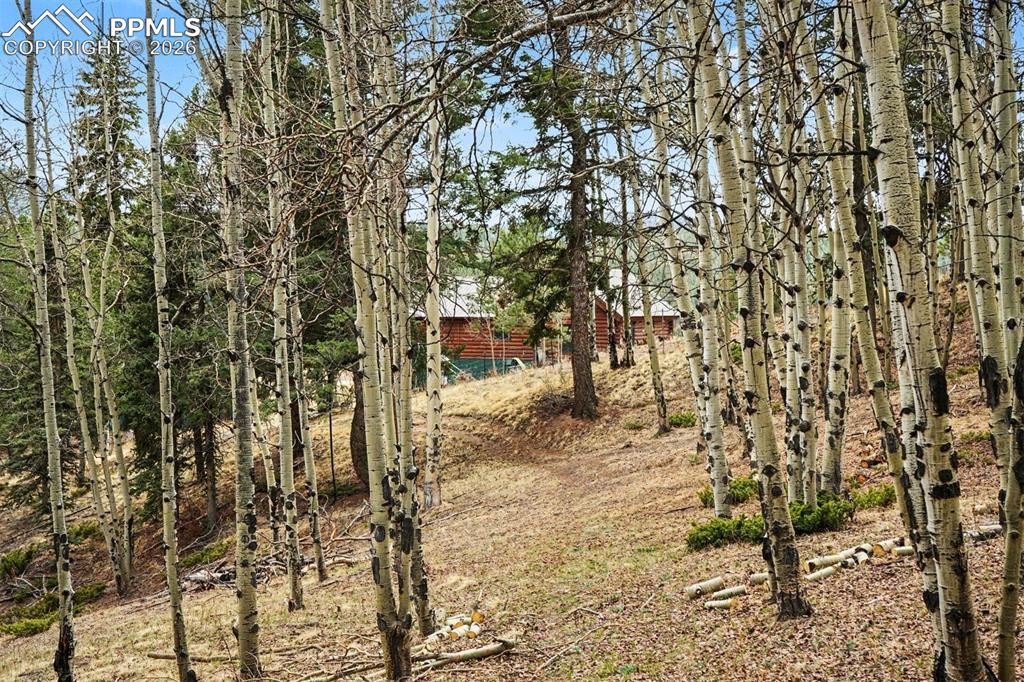 220 Rocky Mountain View Divide CO 80814