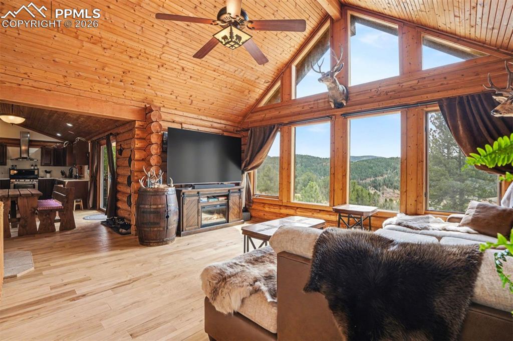 220 Rocky Mountain View Divide CO 80814