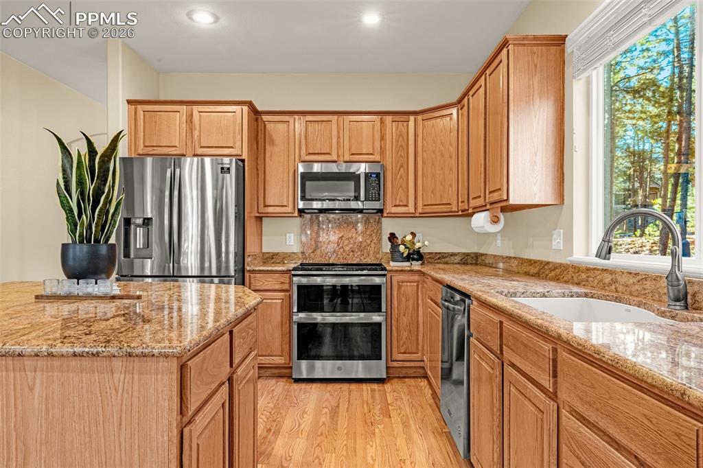 1669 Goldpeak Court Colorado Springs CO 80921