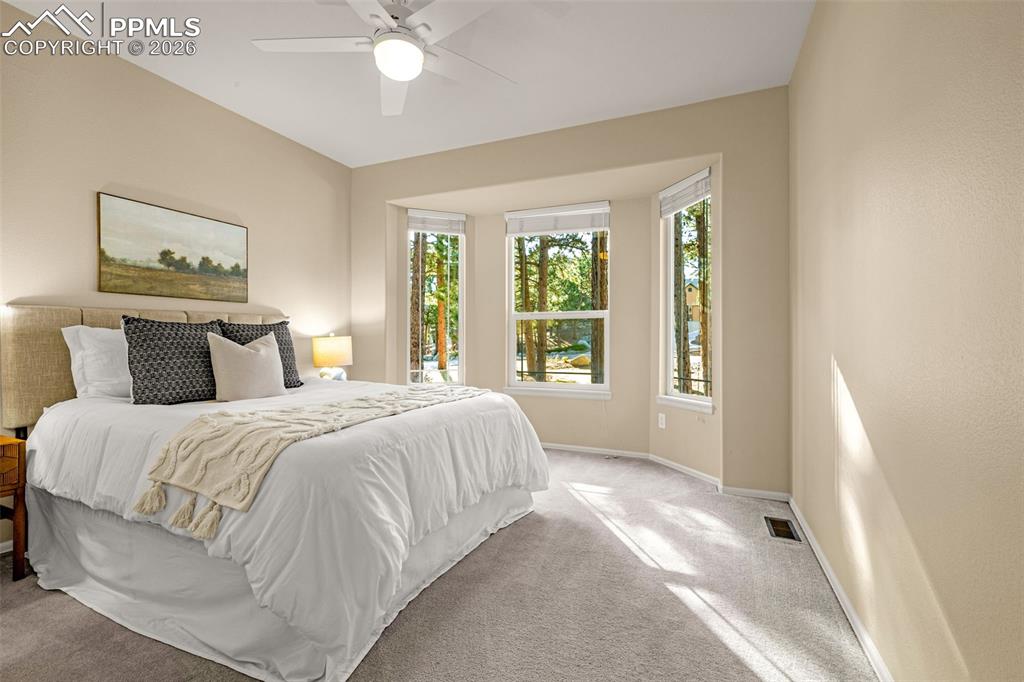 1669 Goldpeak Court Colorado Springs CO 80921