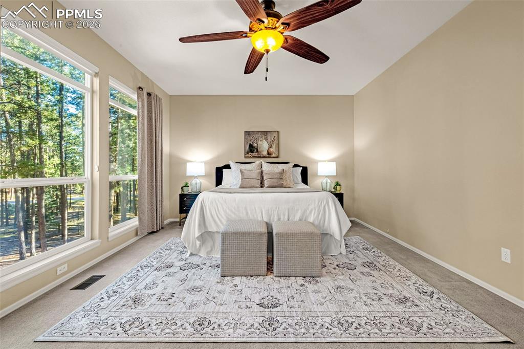1669 Goldpeak Court Colorado Springs CO 80921