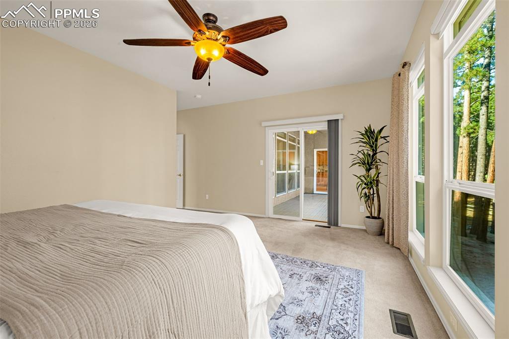 1669 Goldpeak Court Colorado Springs CO 80921