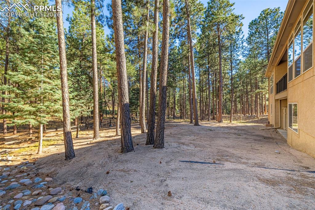 1669 Goldpeak Court Colorado Springs CO 80921