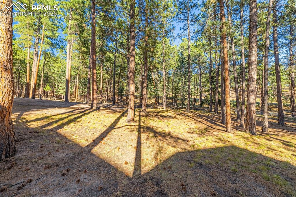 1669 Goldpeak Court Colorado Springs CO 80921