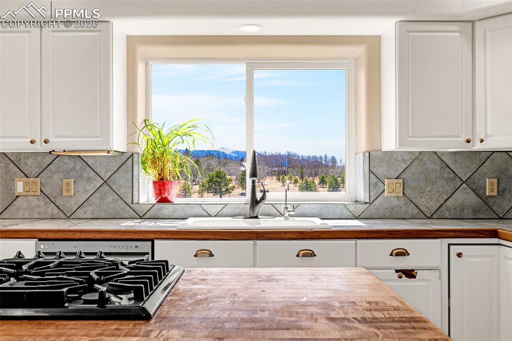 78 Moss Rock Court Divide CO 80814