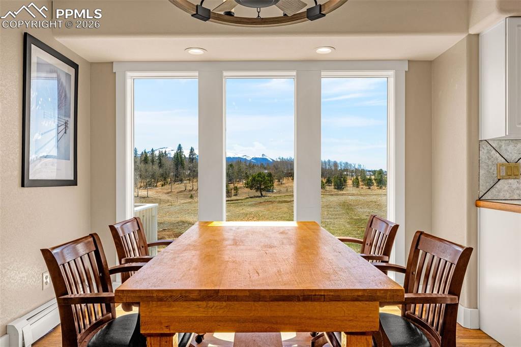 78 Moss Rock Court Divide CO 80814