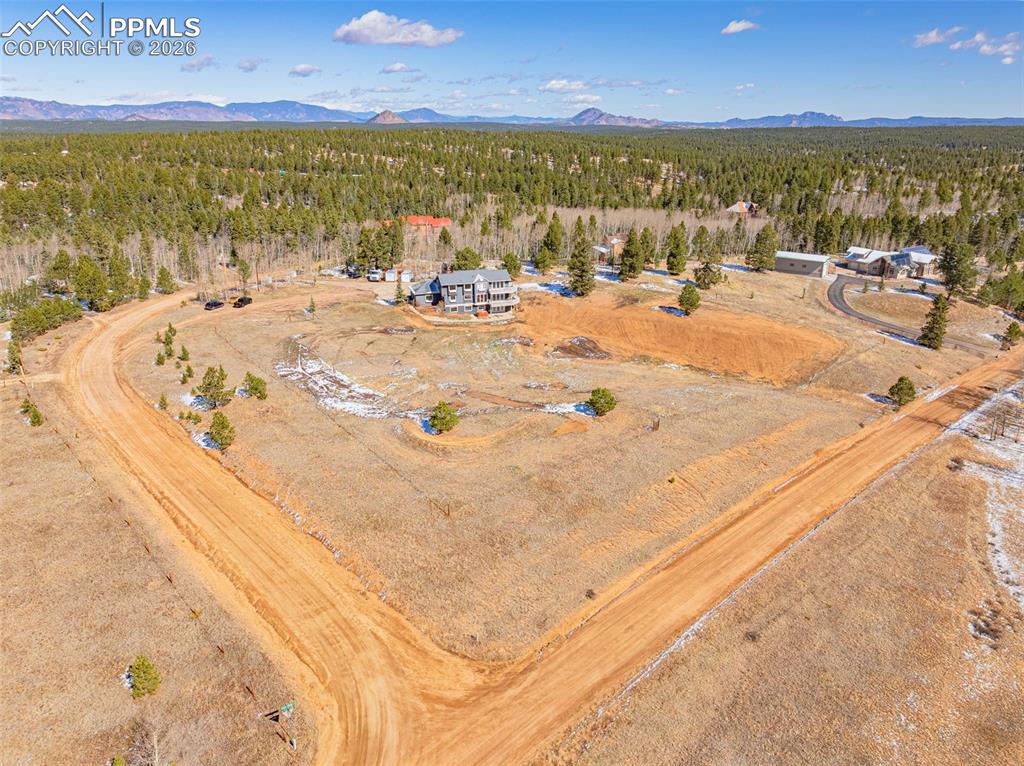 78 Moss Rock Court Divide CO 80814