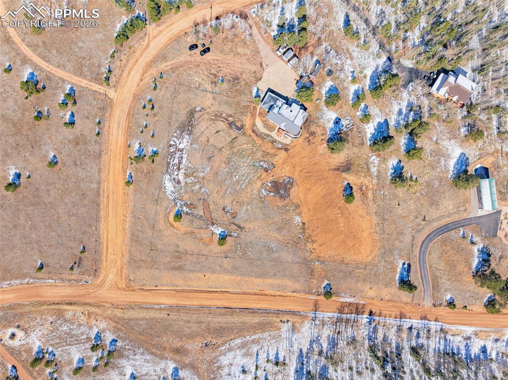 78 Moss Rock Court Divide CO 80814