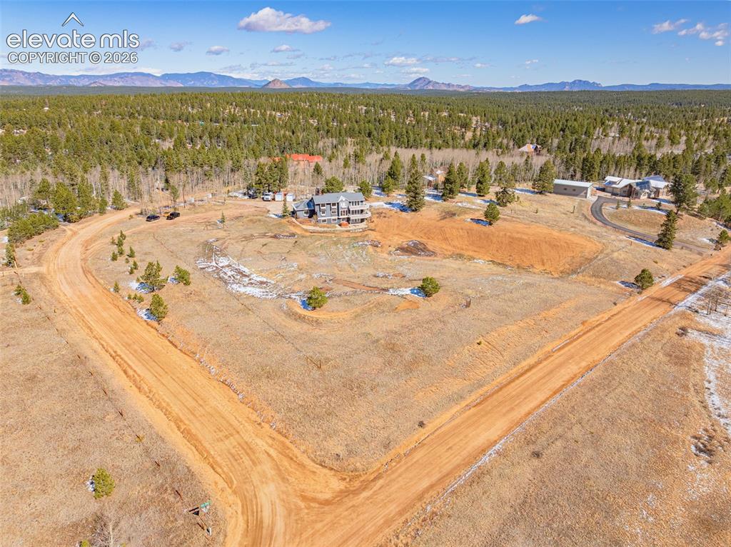 78 Moss Rock Court Divide CO 80814