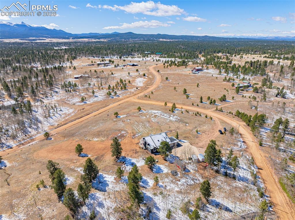 78 Moss Rock Court Divide CO 80814