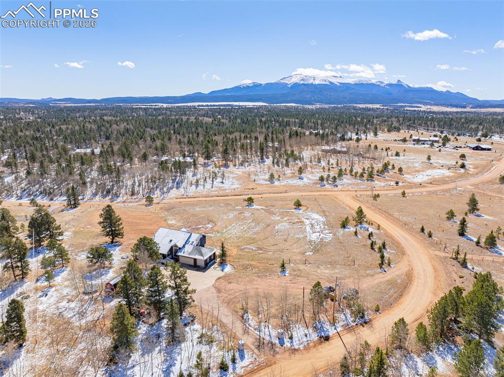 78 Moss Rock Court Divide CO 80814