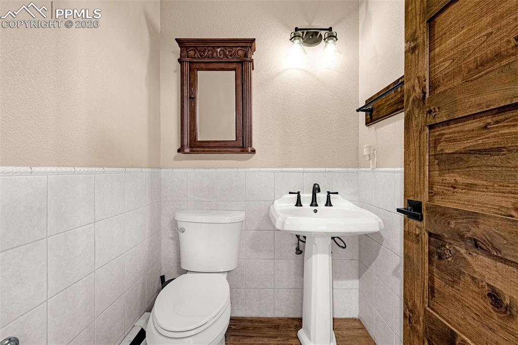 78 Moss Rock Court Divide CO 80814