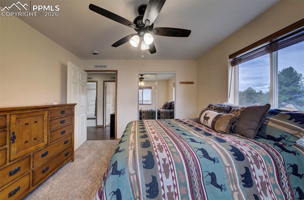 34 Fetlock Circle Florissant CO 80816
