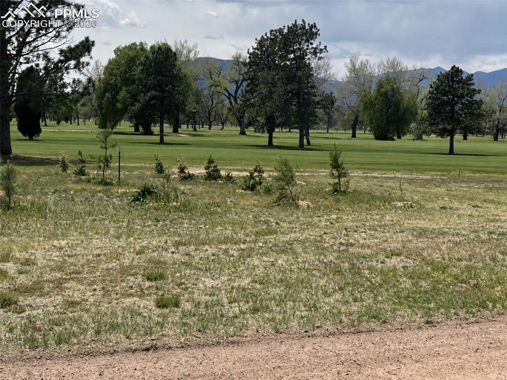 1159 E Madison Street Colorado Springs CO 80907