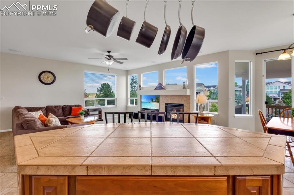 1335 Galactic Place Castle Rock CO 80108